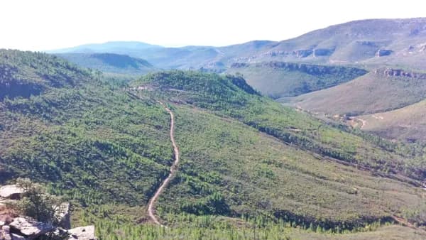 Finca rústica de 800 ha en venta en Cuenca