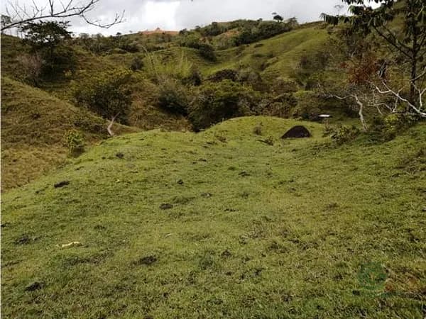 Finca de recreo de 0,3425 ha en venta en Antioquia