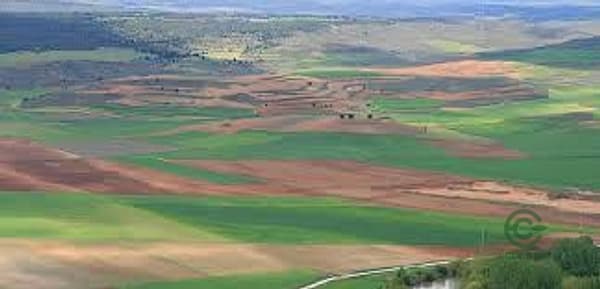 Finca agrícola de 60 ha en venta en Zaragoza