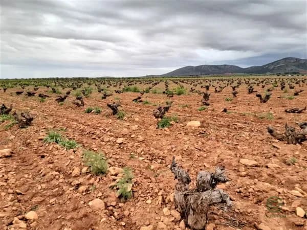 Finca agrícola de 7 ha en venta en Valdepenas, Ciudad real
