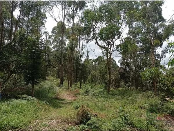 Terreno urbano de 14,84 ha en venta en Antioquia