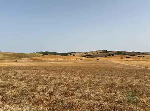 Finca rústica de 7,89 ha en venta en Cádiz