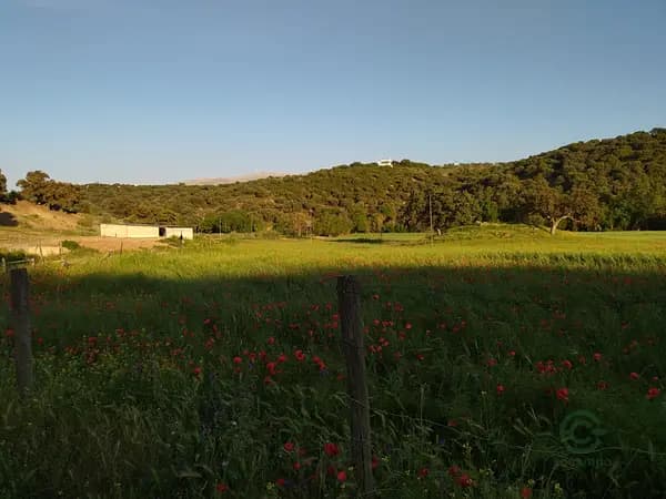 Finca rústica de 20 ha en venta en Granada