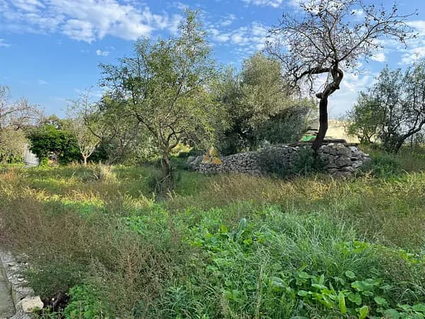 Terreno urbano de 0,12 ha en venta en Cervera del maestre, Castellón