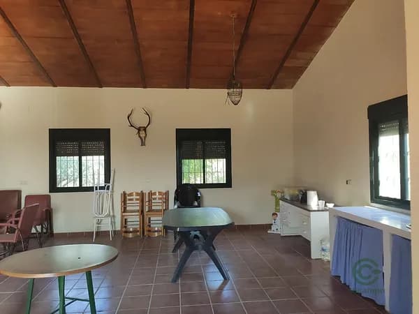Finca agrícola de 2,9611 ha en venta en Guillena, Sevilla