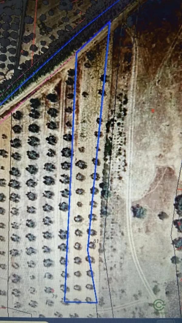 Finca rústica de 0,17 ha en venta en Bollullos par del condado, Huelva