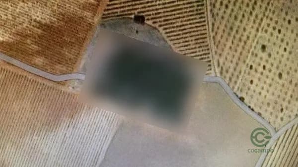 Finca agrícola de 0,4784 ha en venta en Casas - ibañez, Albacete