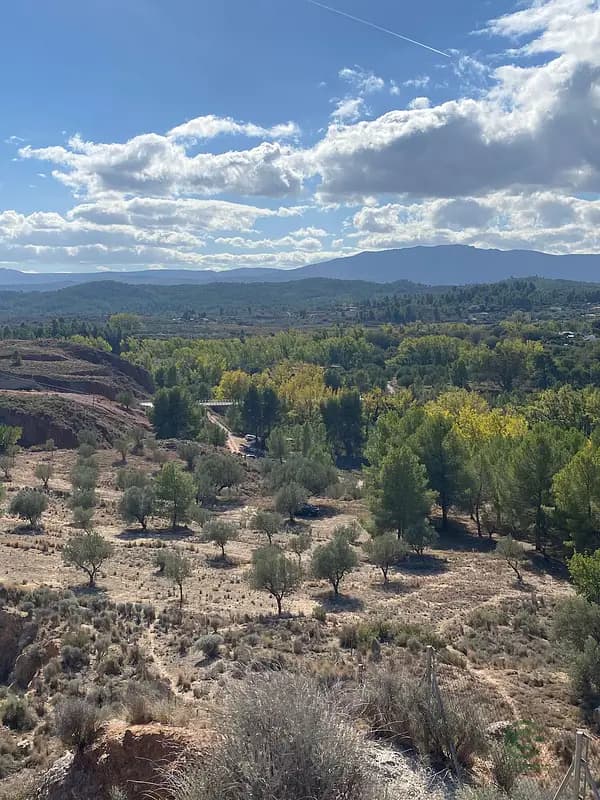 Finca rústica de 3,2 ha en venta en Valencia