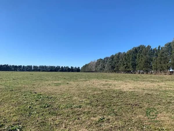 Finca rústica de 20,5 ha en venta en Buenos aires