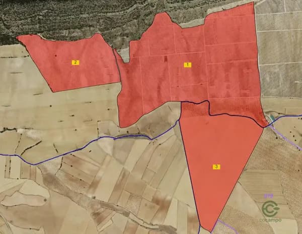 Finca agrícola de 165 ha en venta en Albacete