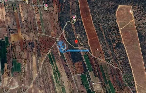Finca agrícola de 0,396 ha en venta en Albufeira, Algarve