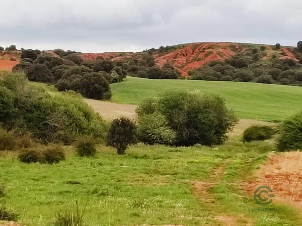 Finca rústica de 2,7 ha en venta en Segovia