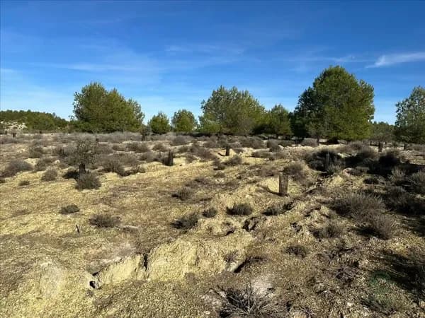 Finca rústica de 70,69 ha en venta en Cuenca