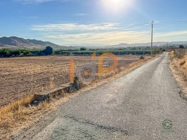 Finca agrícola de 0,56 ha en venta en Huercal-overa, Almeria
