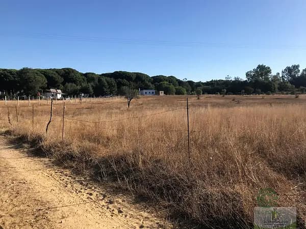 Finca agrícola de 0,85 ha en venta en Almonte, Huelva