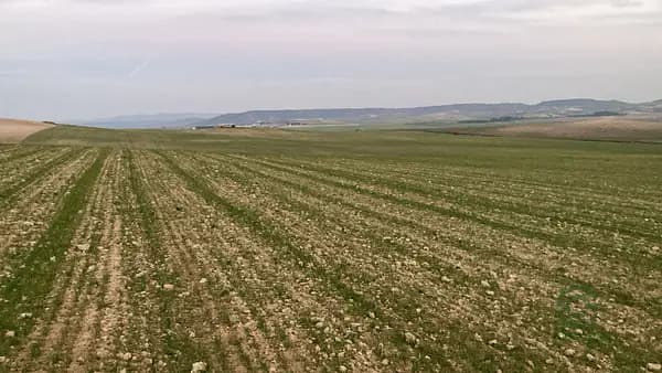 Finca rústica de 350 ha en venta en Cuenca