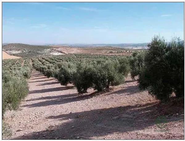 Finca agrícola de 128 ha en venta en Sevilla