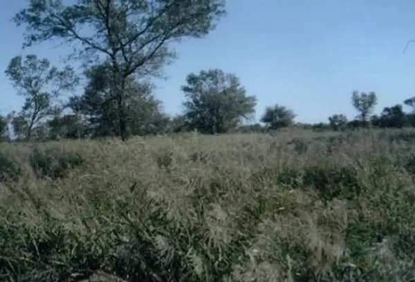 Finca rústica de 60 ha en venta en Santiago del estero