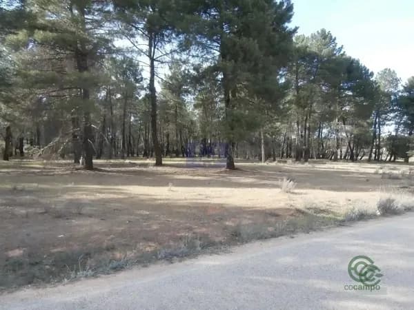 Finca rústica de 1,5 ha en venta en Fuentenava de jabaga, Cuenca
