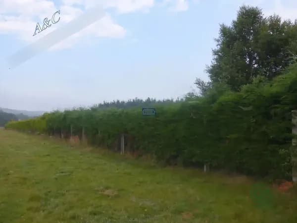 Finca agrícola de 0,36 ha en venta en Lugo, Lugo