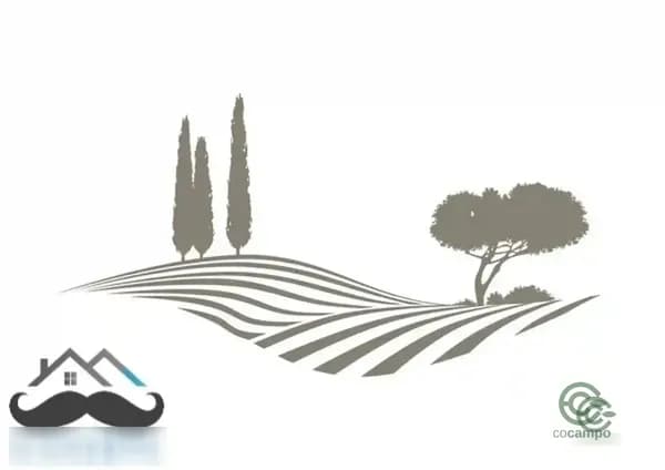 Finca agrícola de 0,02 ha en venta en Ricote, Murcia