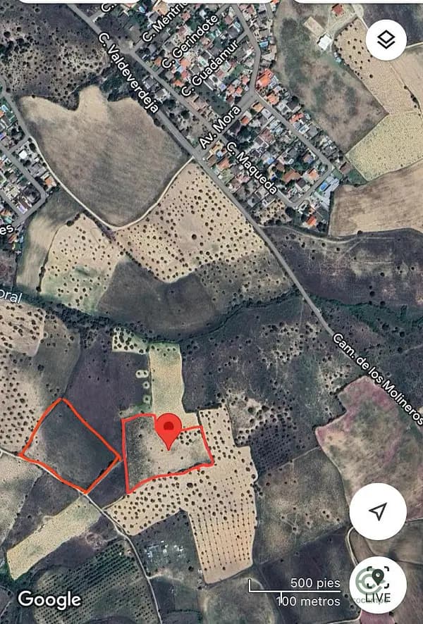 Finca agrícola de 2,58 ha en venta en Toledo