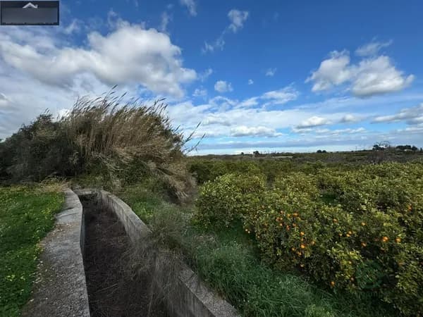 Finca agrícola de 0,132 ha en venta en Palma de gandia, Valencia