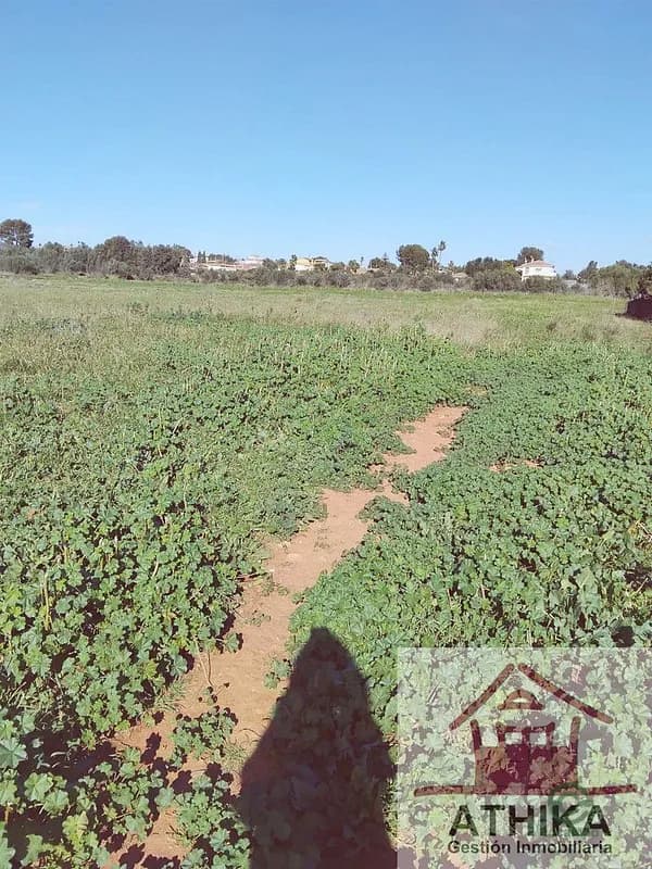 Finca agrícola de 0,4536 ha en venta en Manises, Valencia