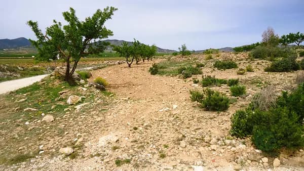Rustic property of 0,74 ha for sale in Alicante