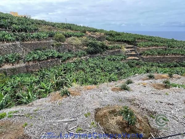Finca agrícola de 0,0138 ha en venta en San andres y sauces, Santa cruz de tenerife
