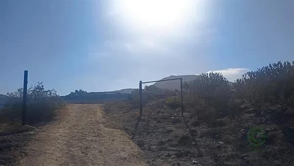 Finca rústica de 13,86 ha en venta en San miguel de abona, Tenerife