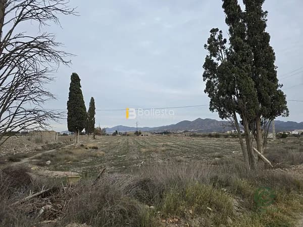 Finca agrícola de 1,9364 ha en venta en Huercal-overa, Almeria