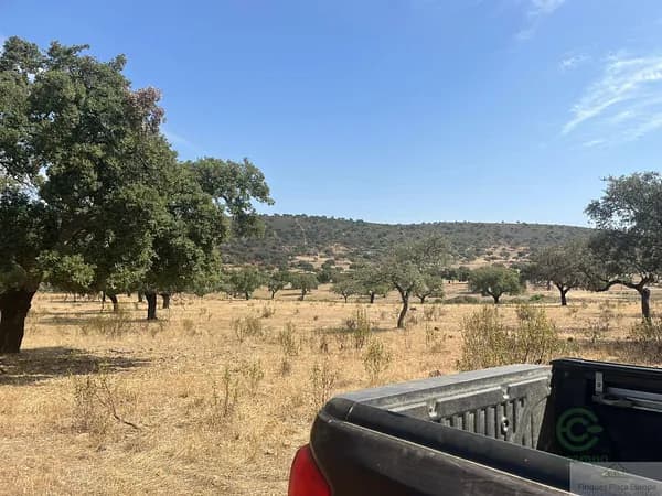 Finca rústica de 288,8 ha en venta en Cáceres, Cáceres