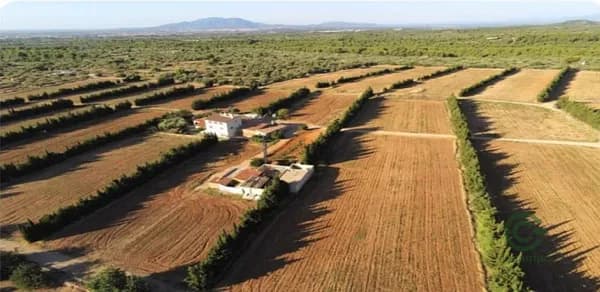 Finca rústica de 24 ha en venta en Camarles, Tarragona