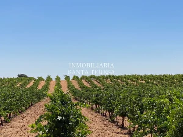 Finca rústica de 630 ha en venta en Cuenca