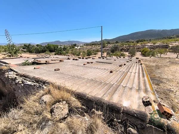 Finca rústica de 0,56 ha en venta en Monovar - monover, Alicante