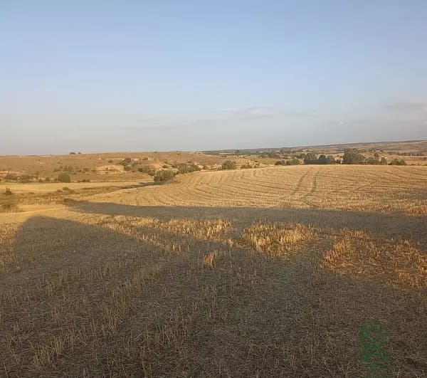 Finca agrícola de 4,7 ha en venta en Burgos