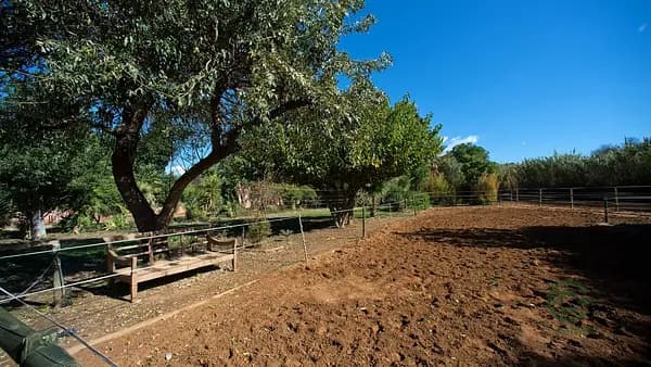 Finca rústica de 0,4 ha en venta en Málaga