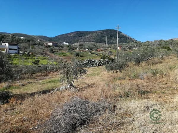 Finca agricola di 1,16 ha per vendita a Sicilia