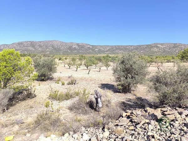 Finca agrícola de 0,9044 ha en venta en Monovar, Alicante