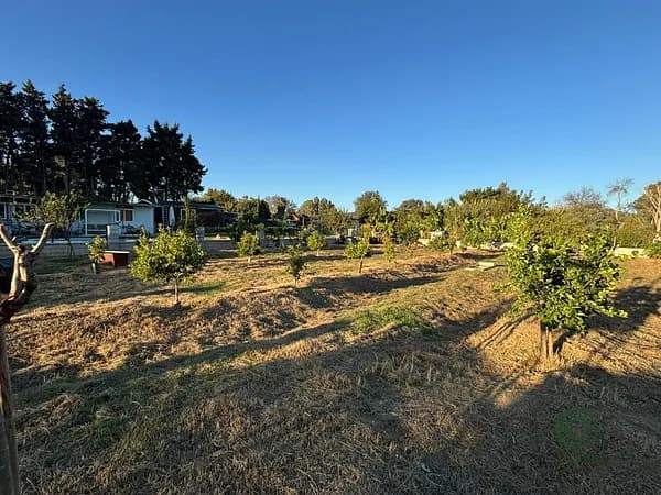 Finca agrícola de 0,08 ha en venta en Los barrios, Cadiz