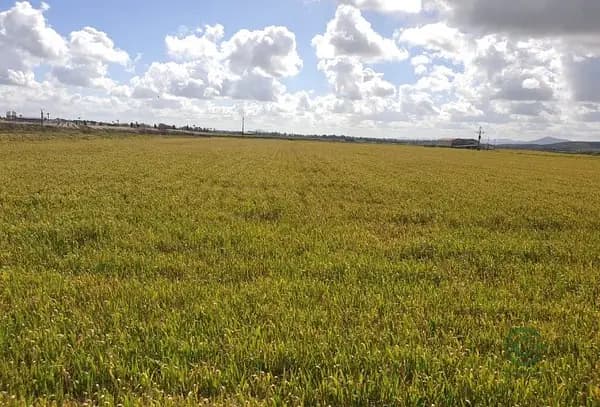 Finca agrícola de 400 ha en venta en Cáceres