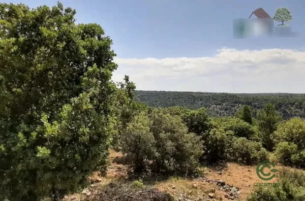 Finca cinegética de 800 ha en venta en Cuenca