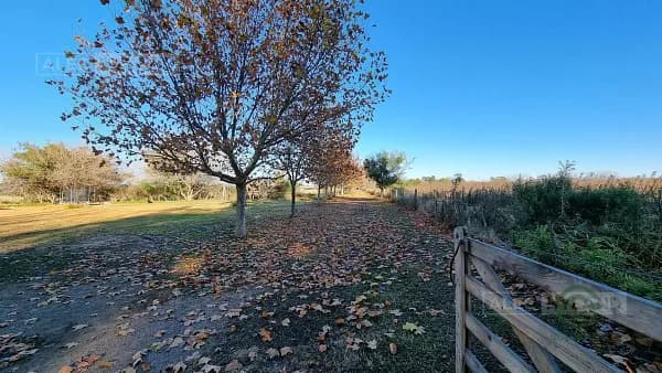 Finca rústica de 22 ha en venta en Buenos aires