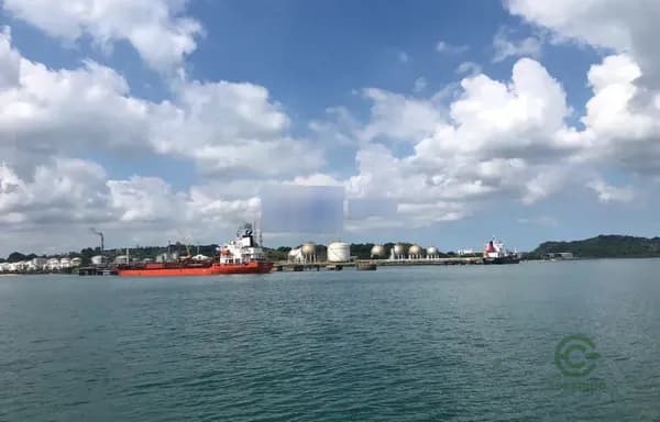 Terra urbana de 11 ha para venda em Bahia