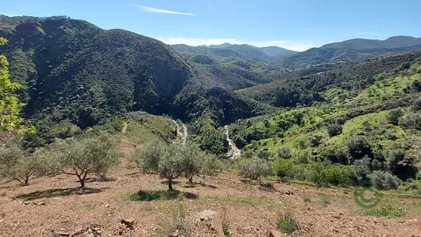 Finca rústica de 3,623 ha en venta en Málaga