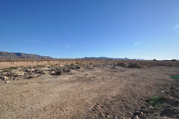 Finca rústica de 0,253 ha en venta en Pinoso, Alicante