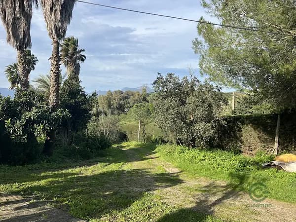 Finca rústica de 1,5 ha en venta en Cádiz