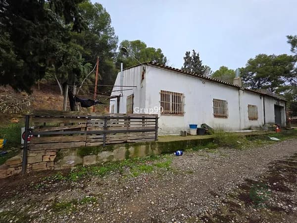 Finca agrícola de 3,9735 ha en venta en Alpicat, Lleida