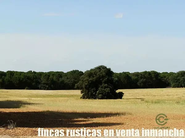 Finca rústica de 240 ha en venta en Cuenca